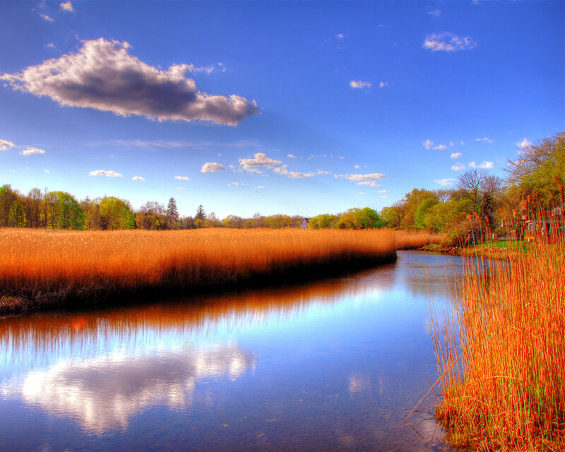 River with reeds and blue sky