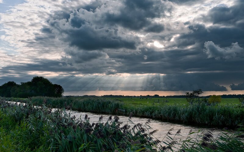 River with Reeds and Clouds