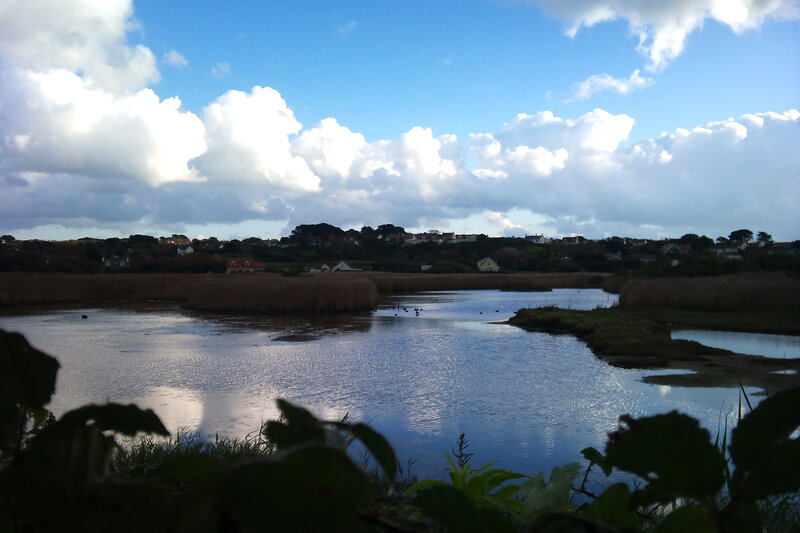 River with Reeds and Houses