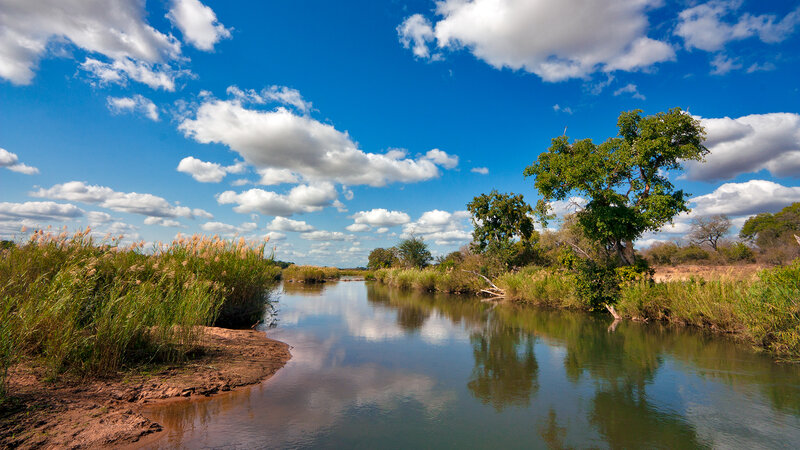 River with Reeds and Trees — Blue, Serene