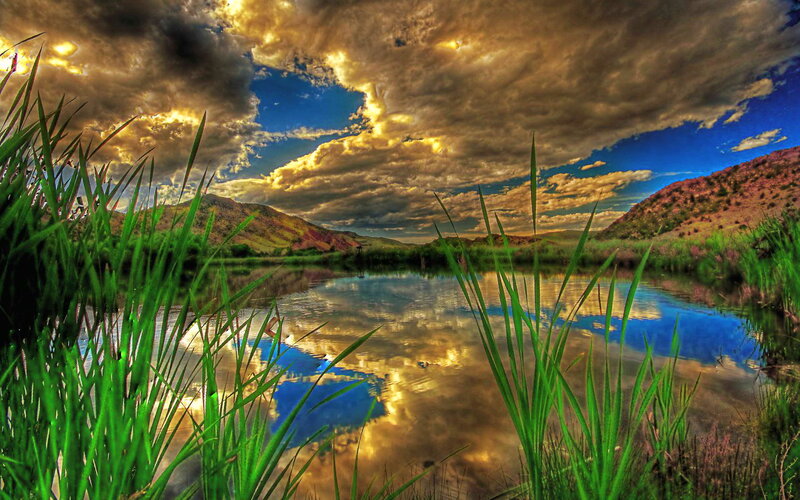 River with Reeds