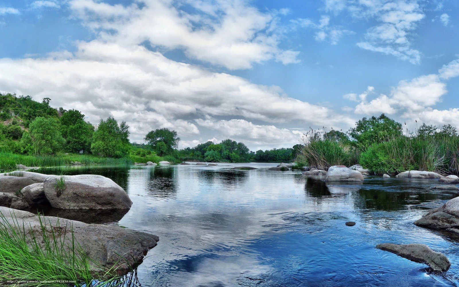 River with rocks and greenery