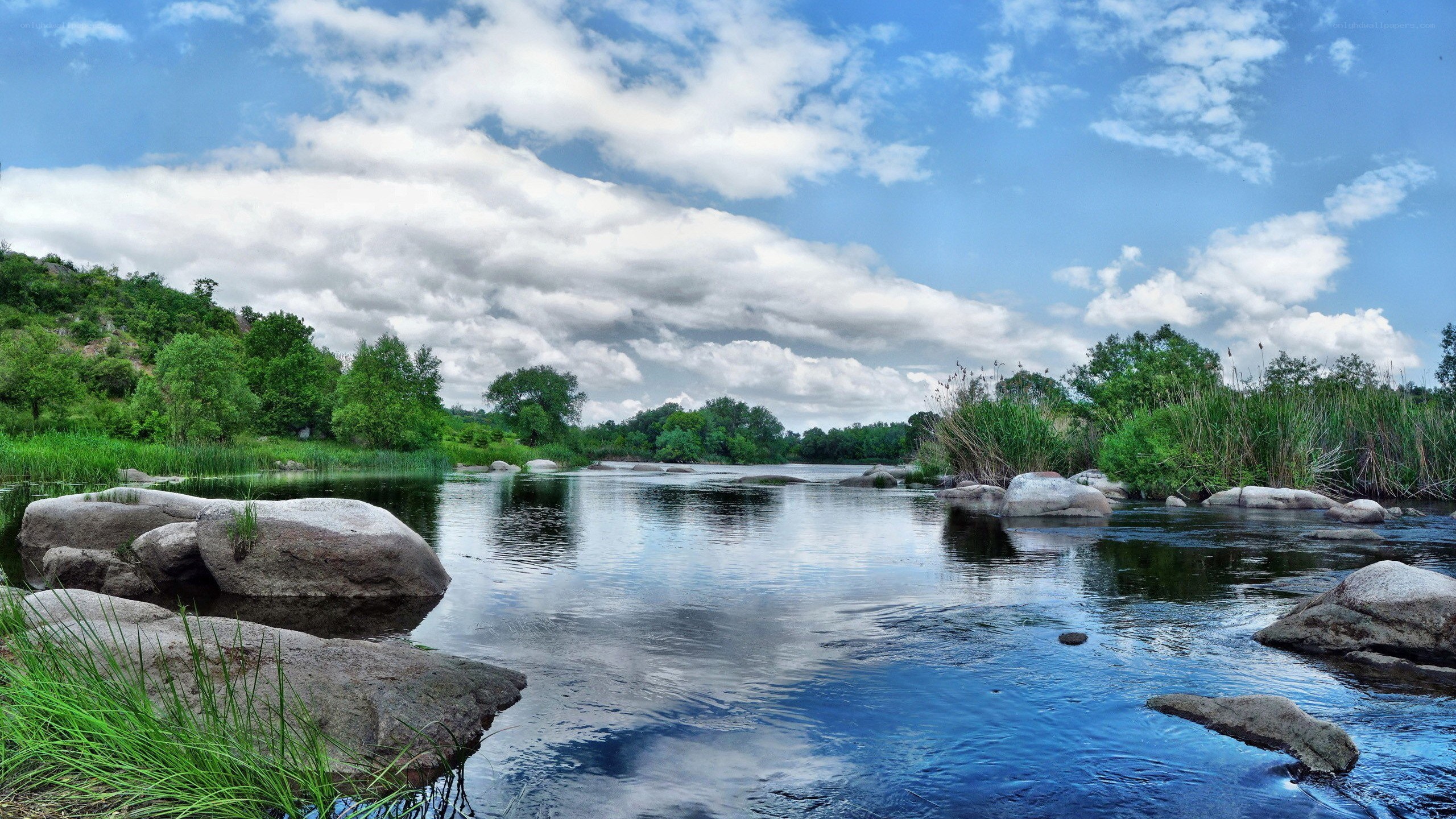 River with rocks and greenery