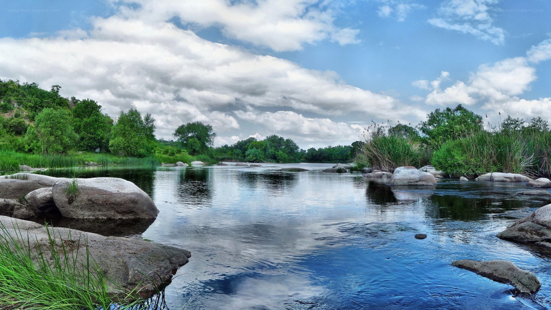 River with rocks and greenery