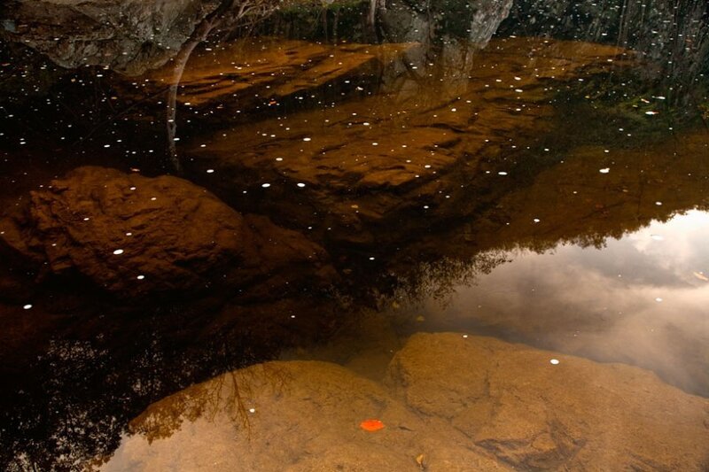 River with Rocks and Leaves