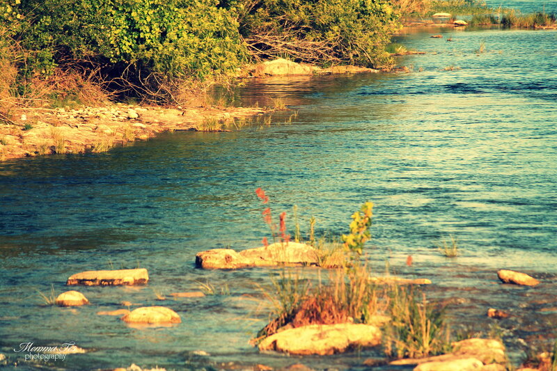 River with Rocks and Plants — Blue