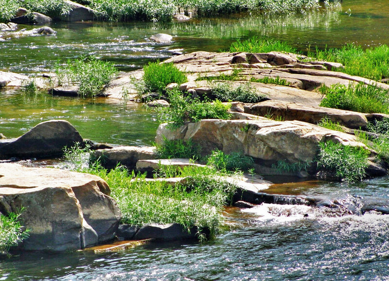 River with Rocks and Plants — Green