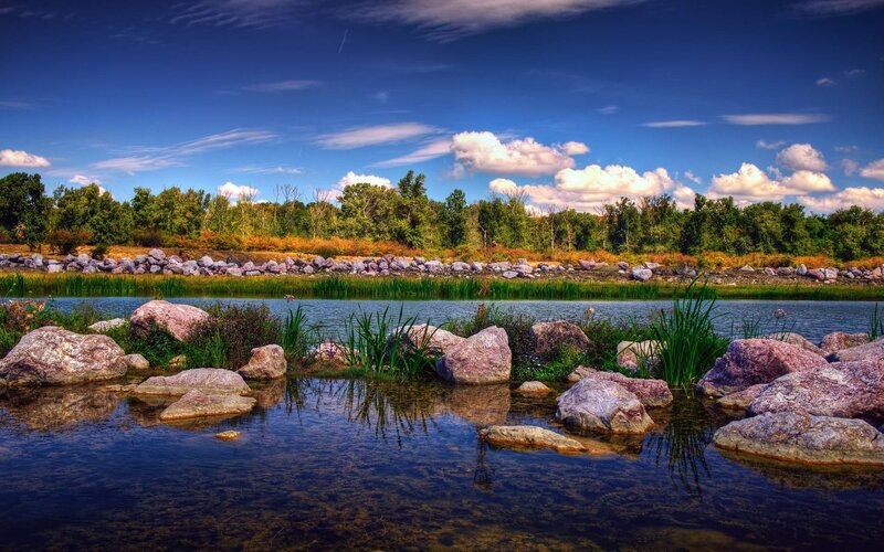 River with Rocks and Reeds