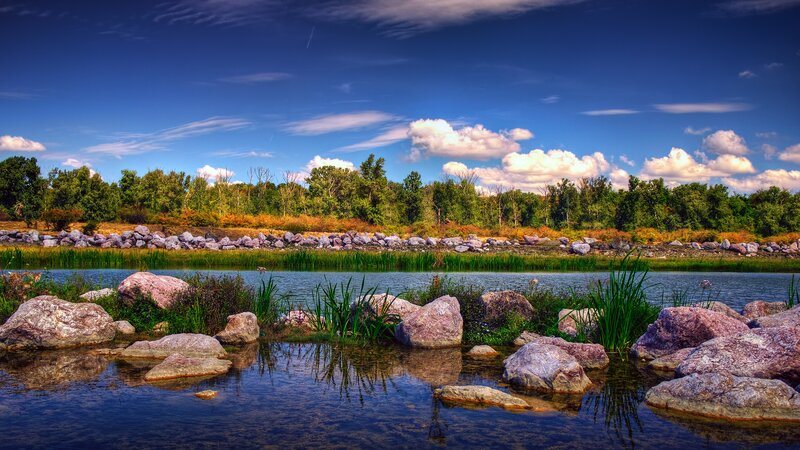 River with rocks and trees