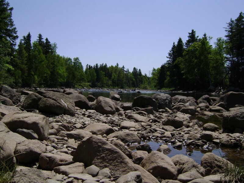 River with rocks and trees