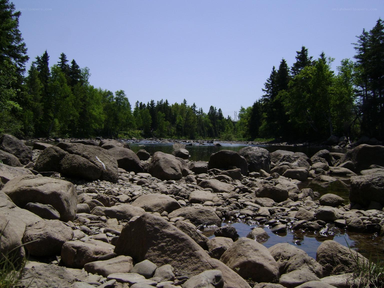 River with rocks and trees