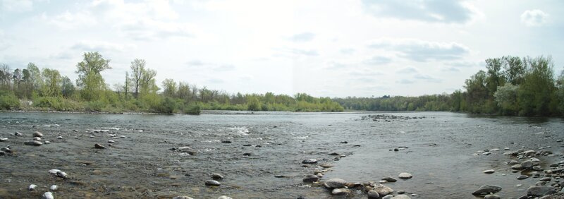 River with Rocks and Trees — Green, Calm