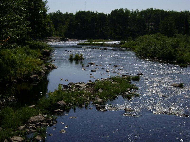 River with Rocks and Trees — Green, Serene, Afternoon, Photograph