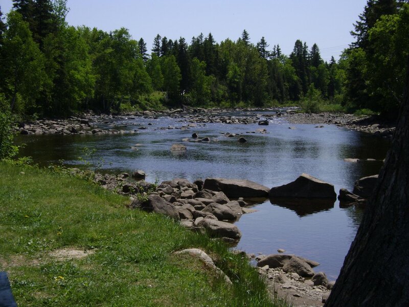 River with Rocks and Trees — Green, Serene, Afternoon