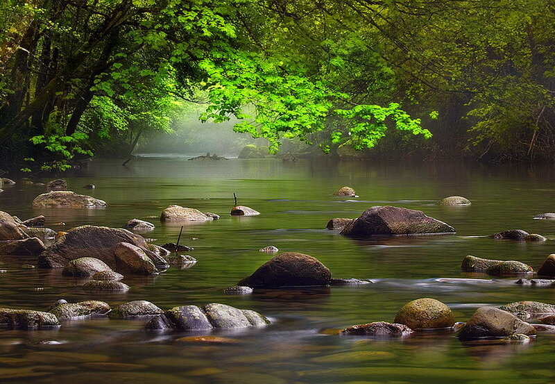 River with Rocks and Trees — Green