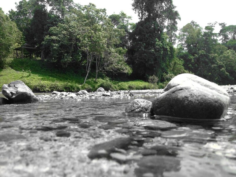 River with Rocks — Green, Serene, Afternoon