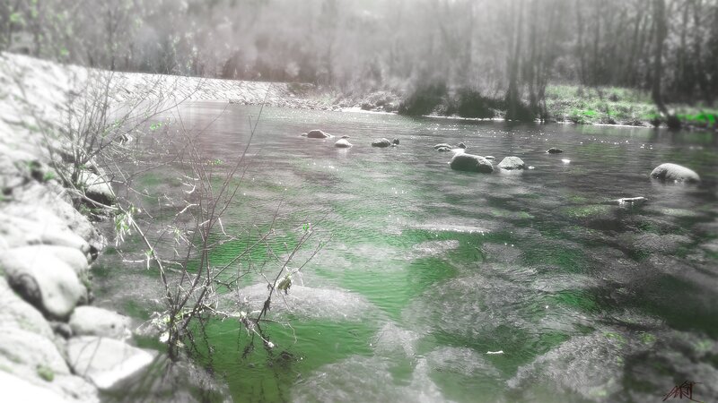 River with Rocks — Green, Serene, Photograph