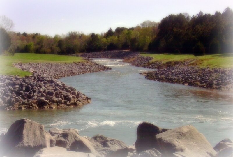 River with Rocky Banks — Green
