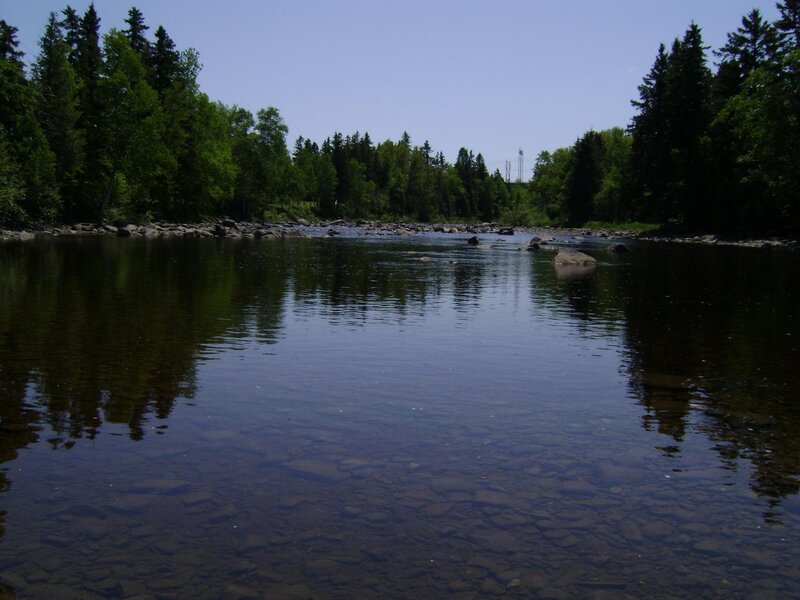 River with Rocky Bed — Green