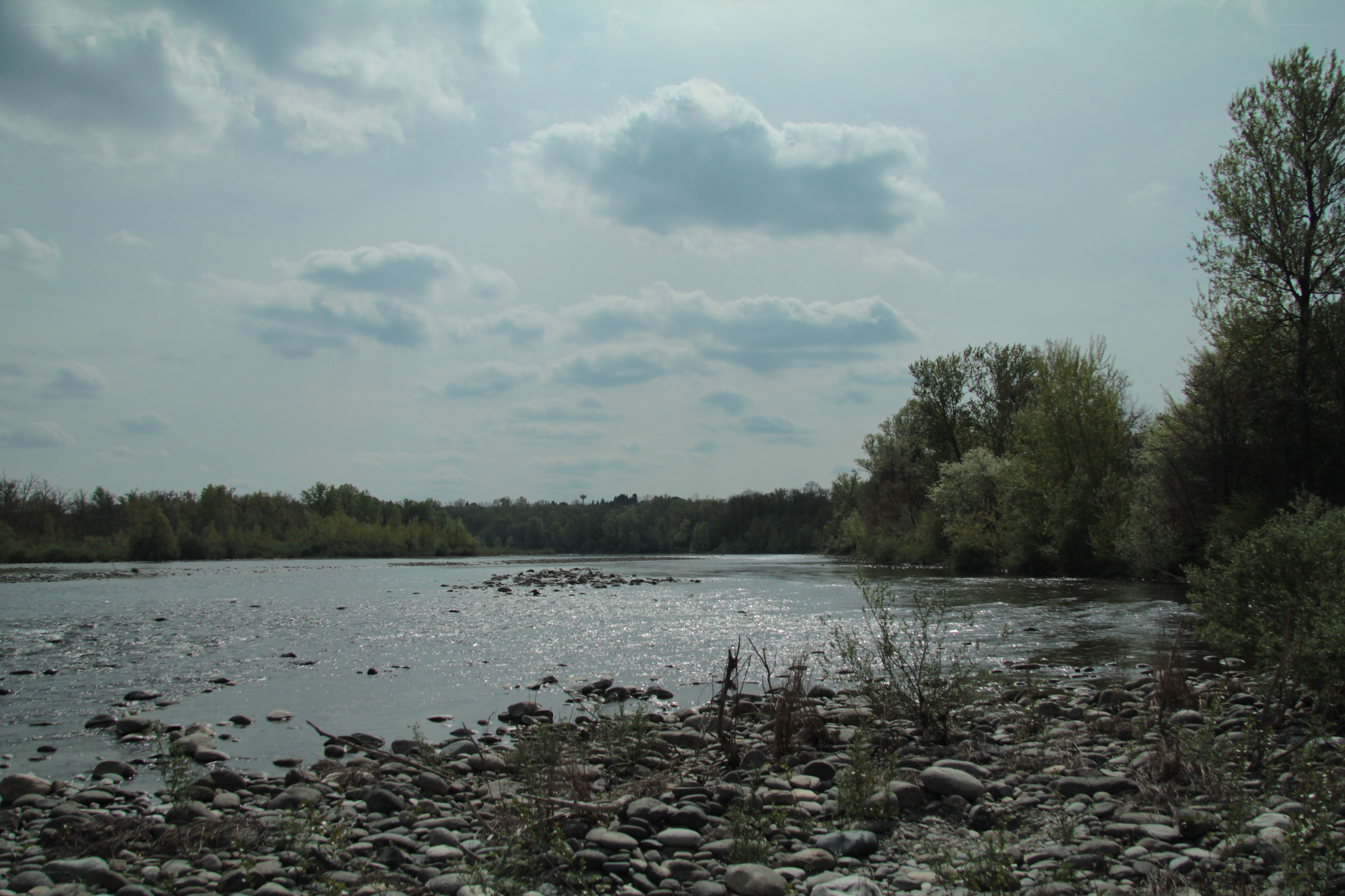 River with rocky shore and trees