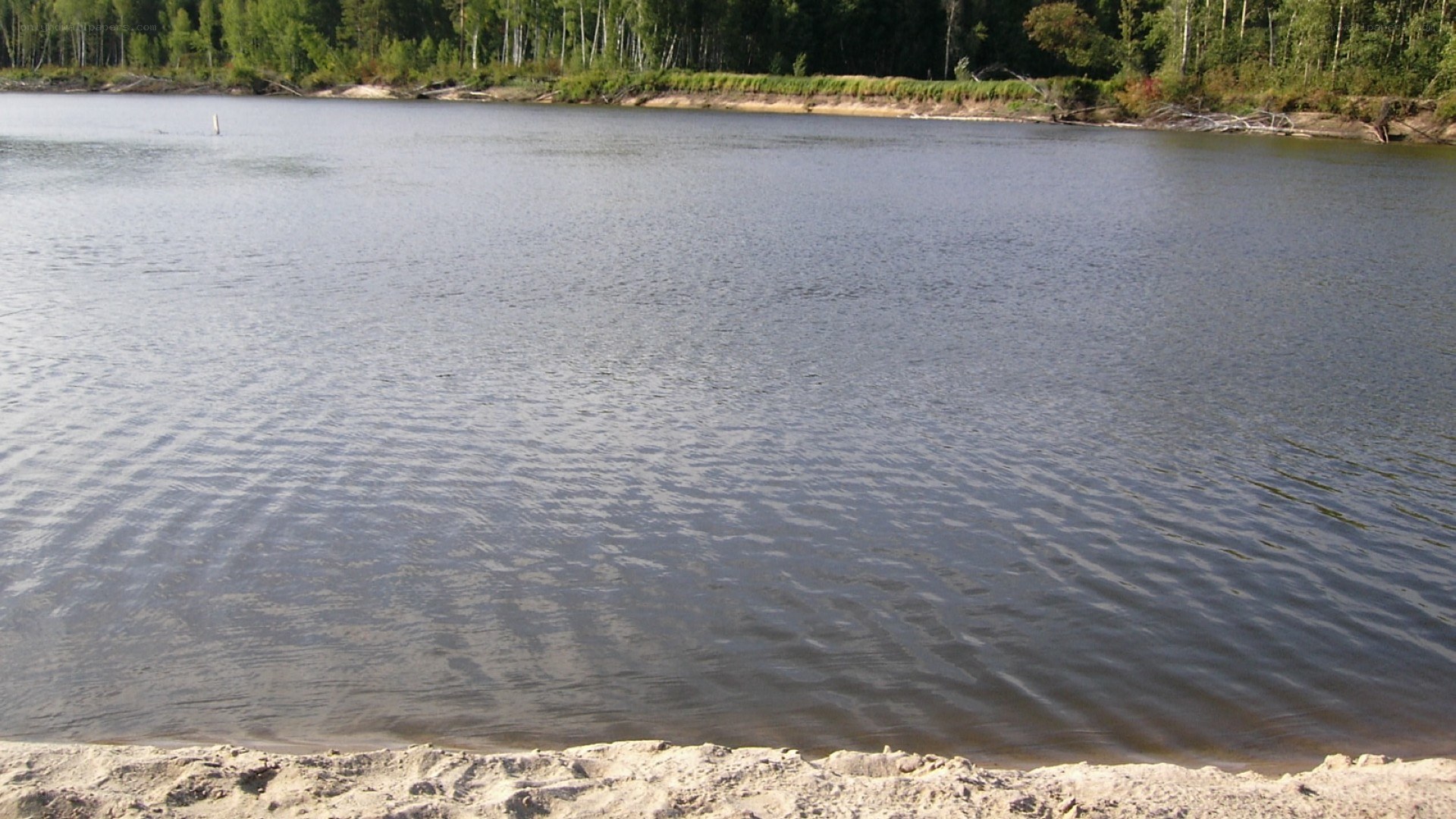 river with sandy shore