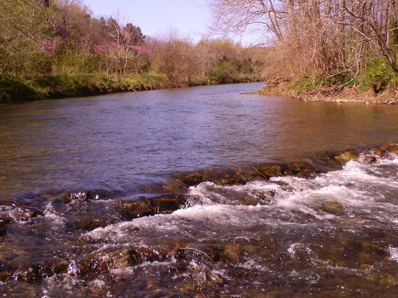 River with Shallow Rapids