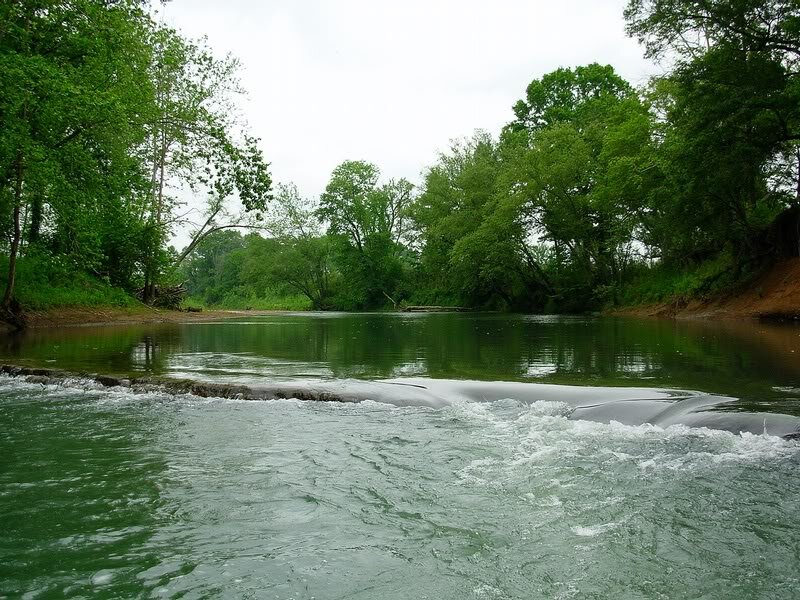 River with Small Waterfall — Green, Serene, Afternoon