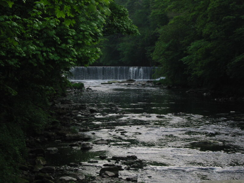 River with Small Waterfall — Green, Serene, Photograph
