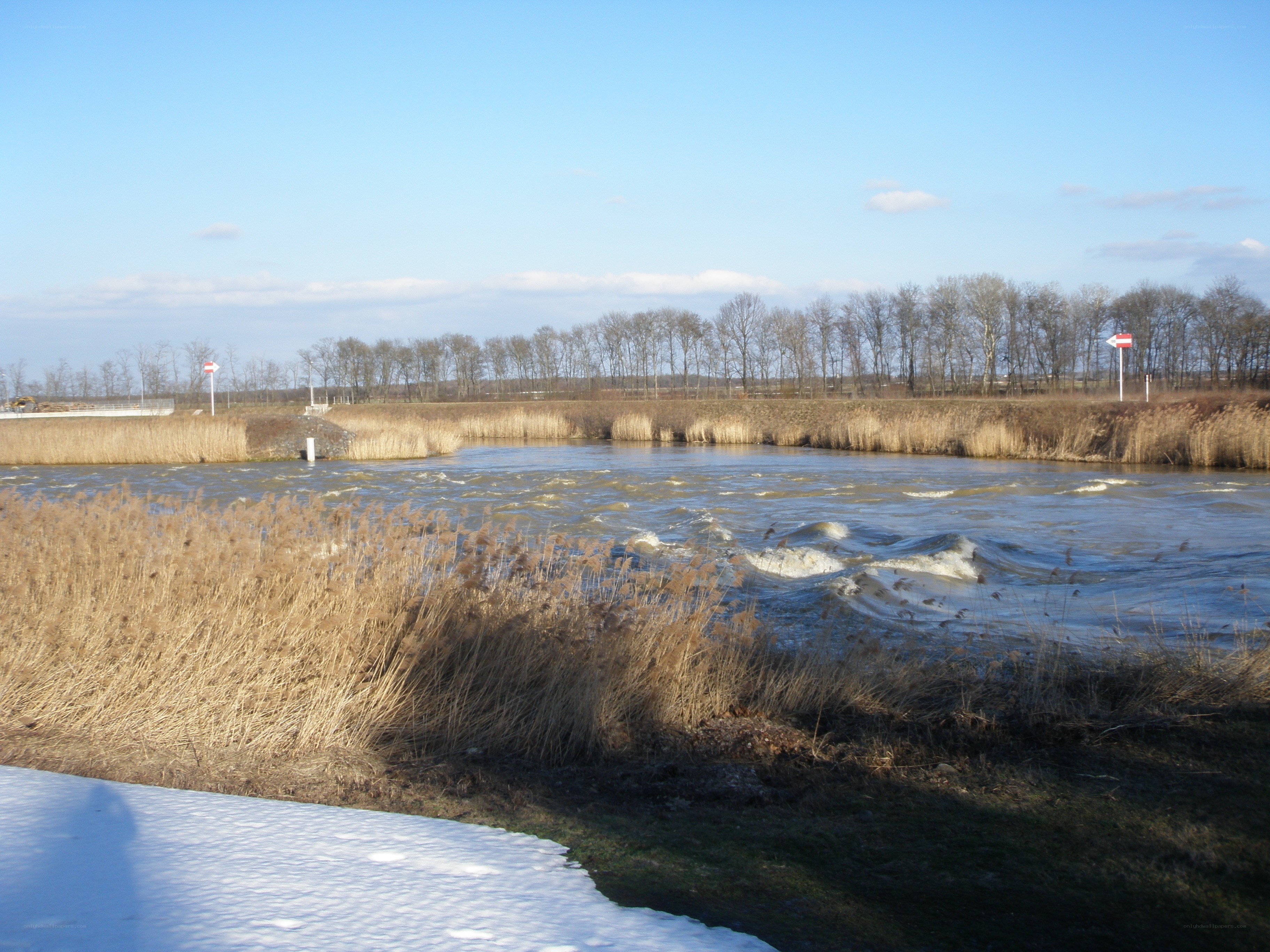River with snow and reeds