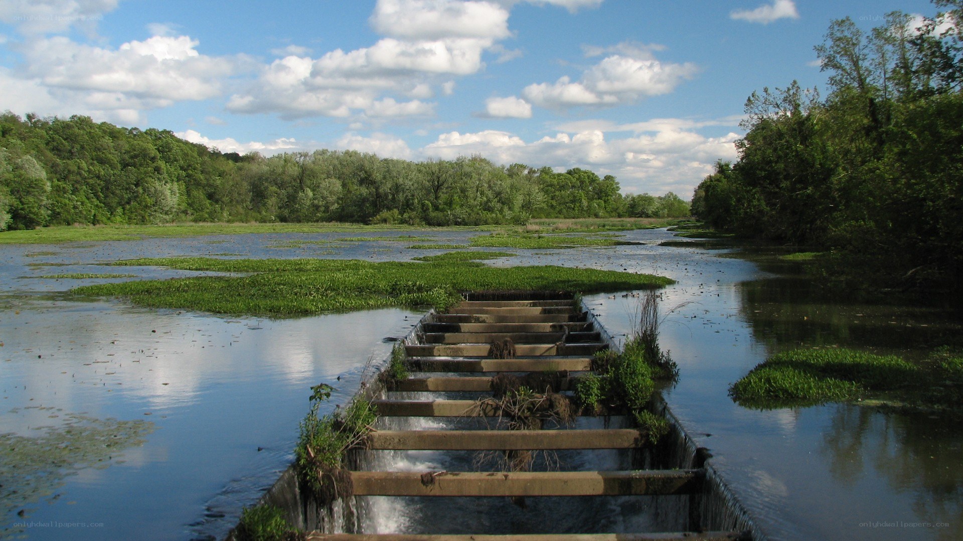 River with stepped weir