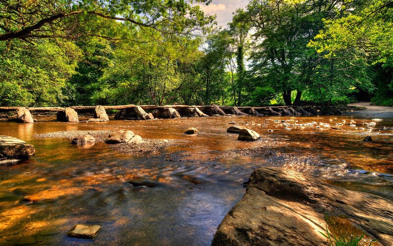 River with Stepping Stones — Green, Serene, Afternoon