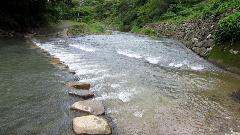 River with Stepping Stones — Green, Serene