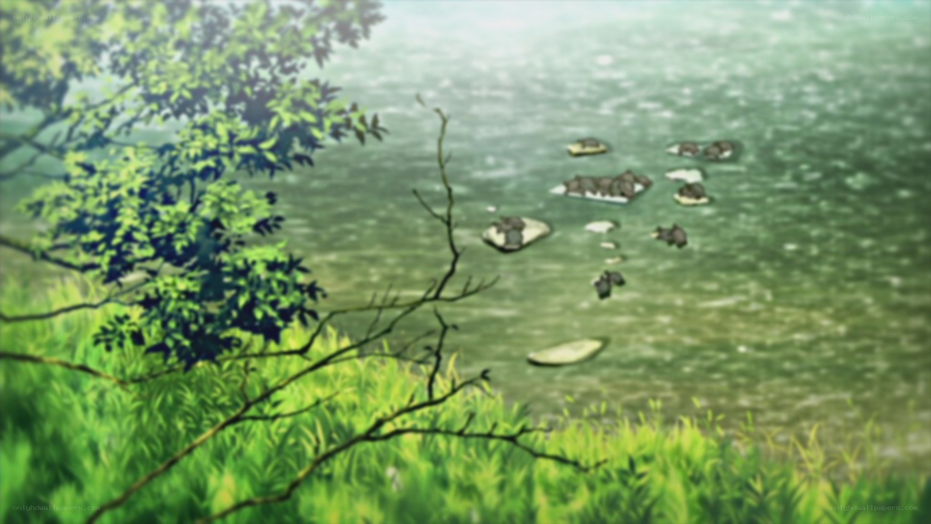 river with stepping stones