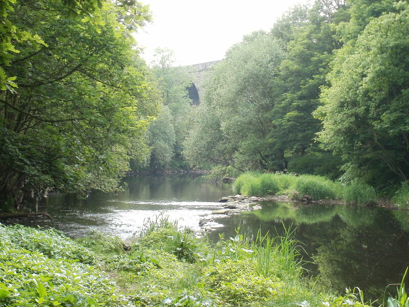 River with Stone Bridge — Green, Serene, Afternoon, Photograph