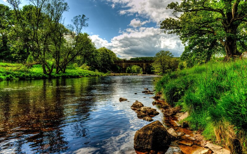 River with Stone Bridge — Green, Serene, Afternoon, Photograph, Trees, Rocks, Blue, Brown