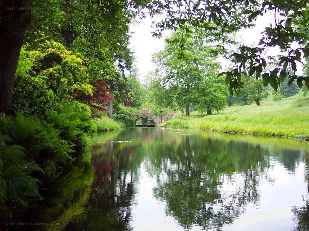 River with stone bridge in park