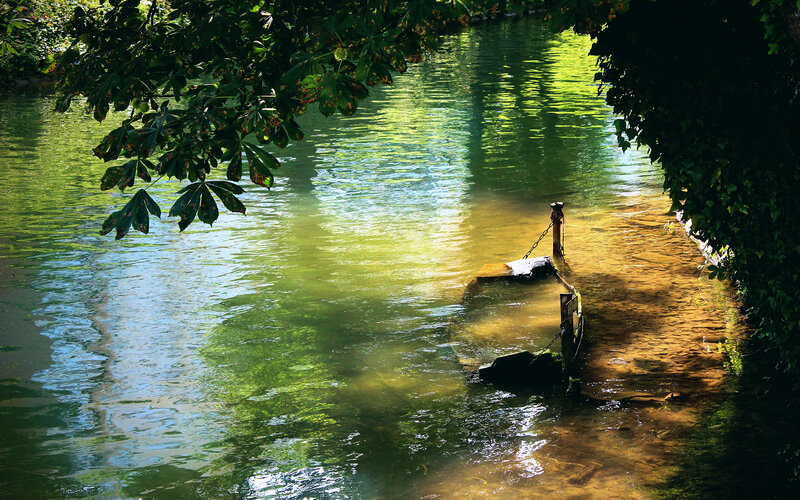 River with Stone Path — Green