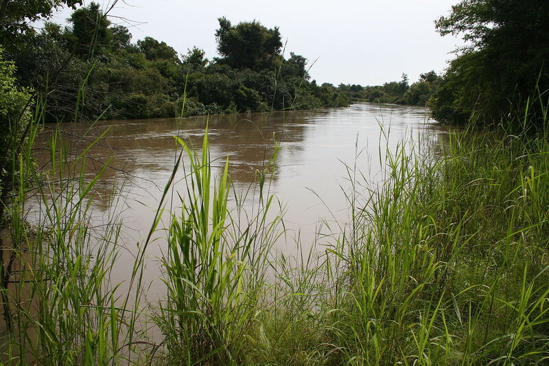 River with Tall Grass