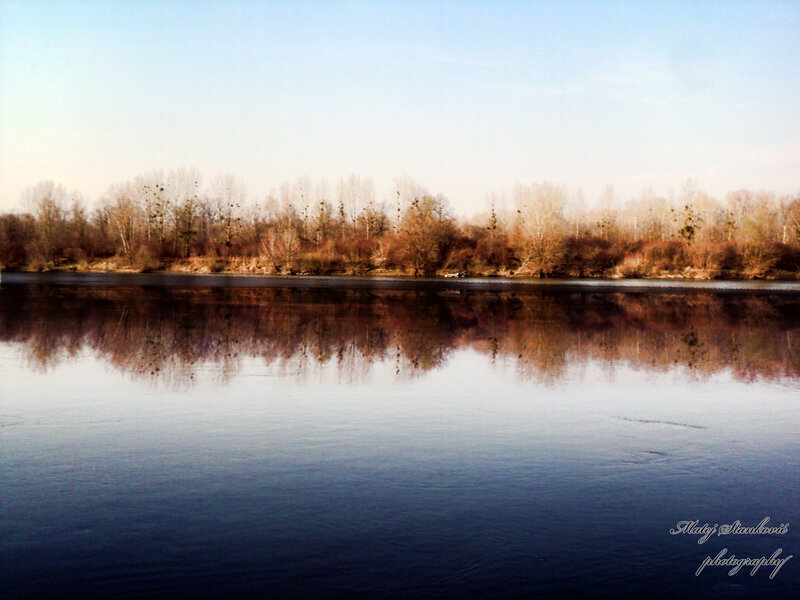 River with Tree Reflection