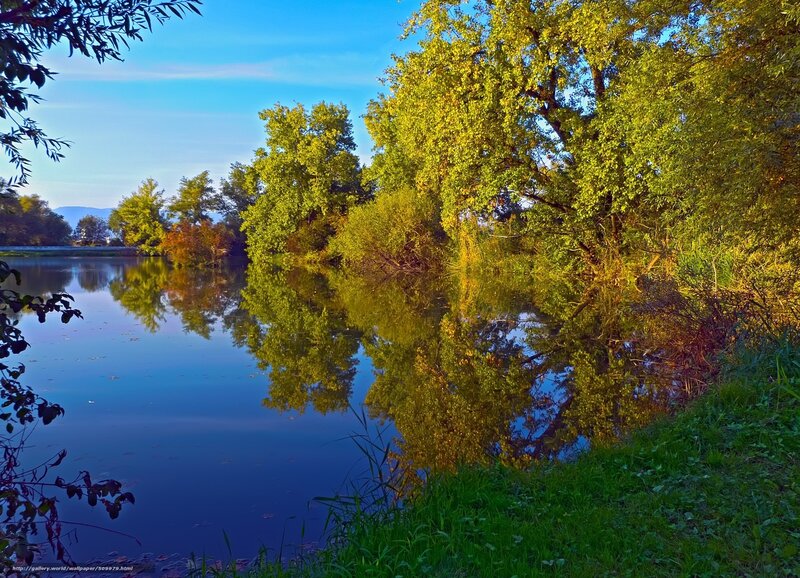 River with Tree Reflections — Blue