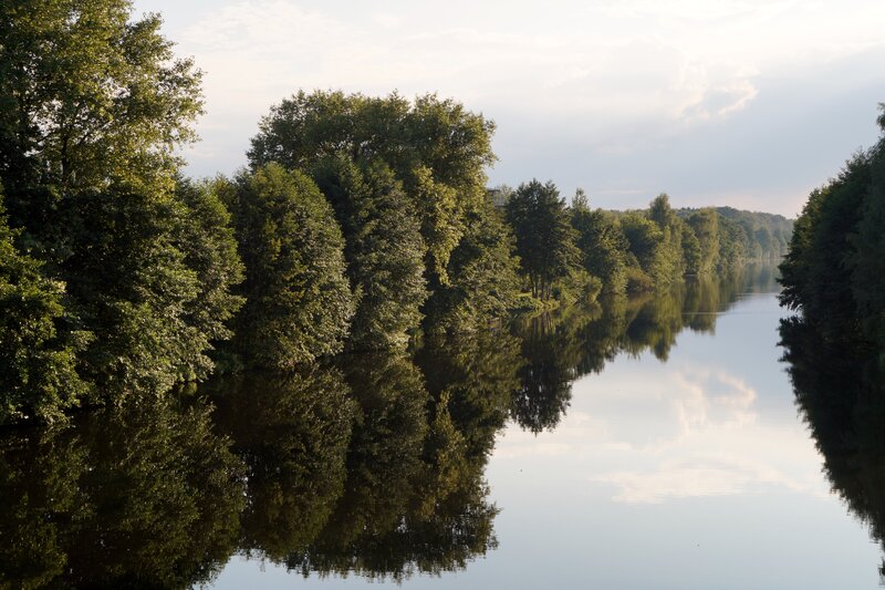 River with Tree Reflections