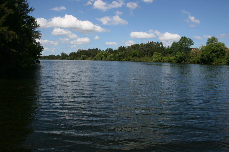 river with trees and blue sky