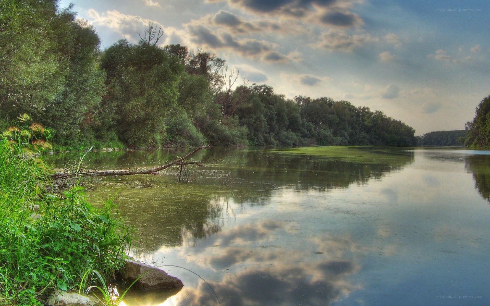 River with trees and clouds