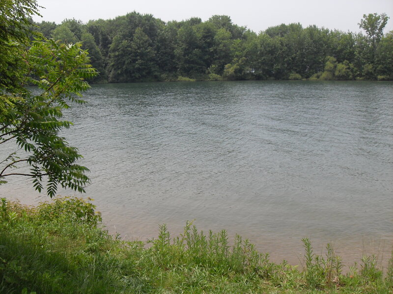 River with trees and foliage