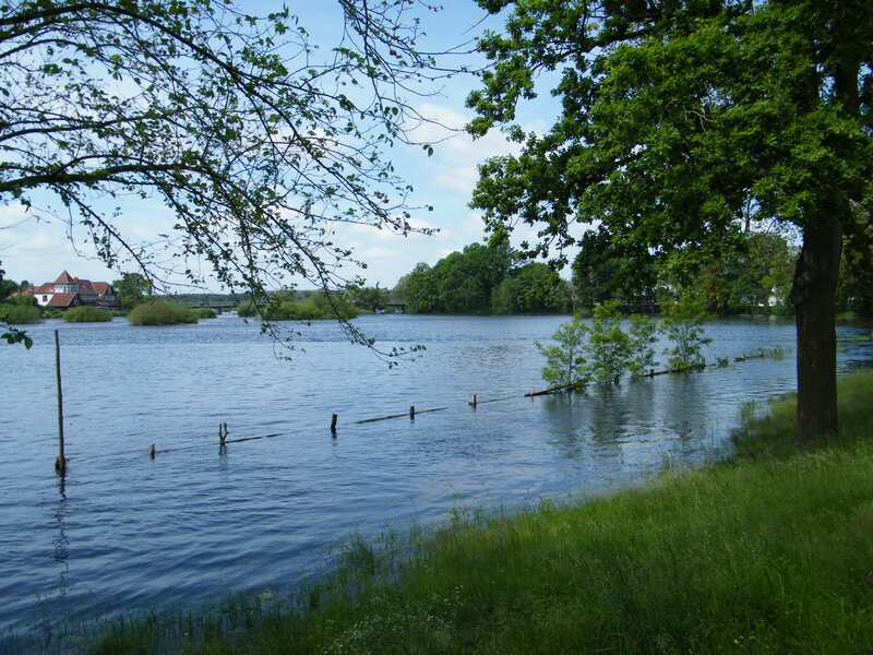 River with Trees and House