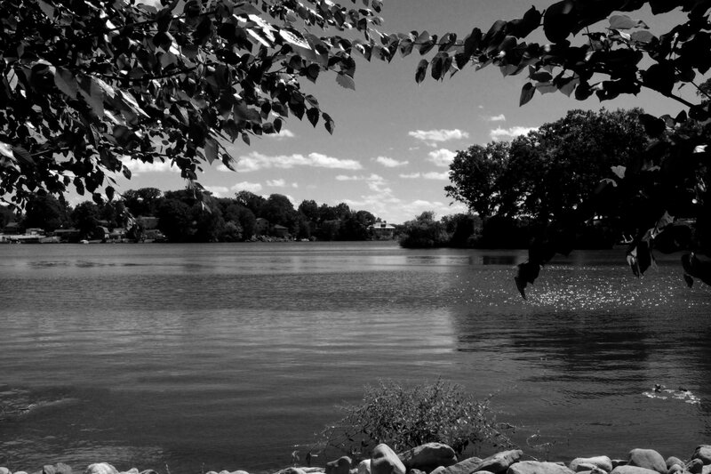 River with Trees and Houses