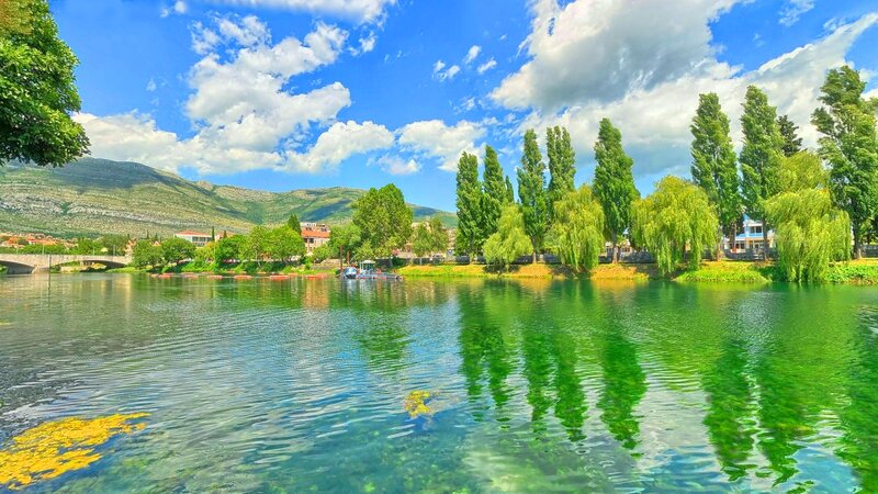 River with Trees and Mountains
