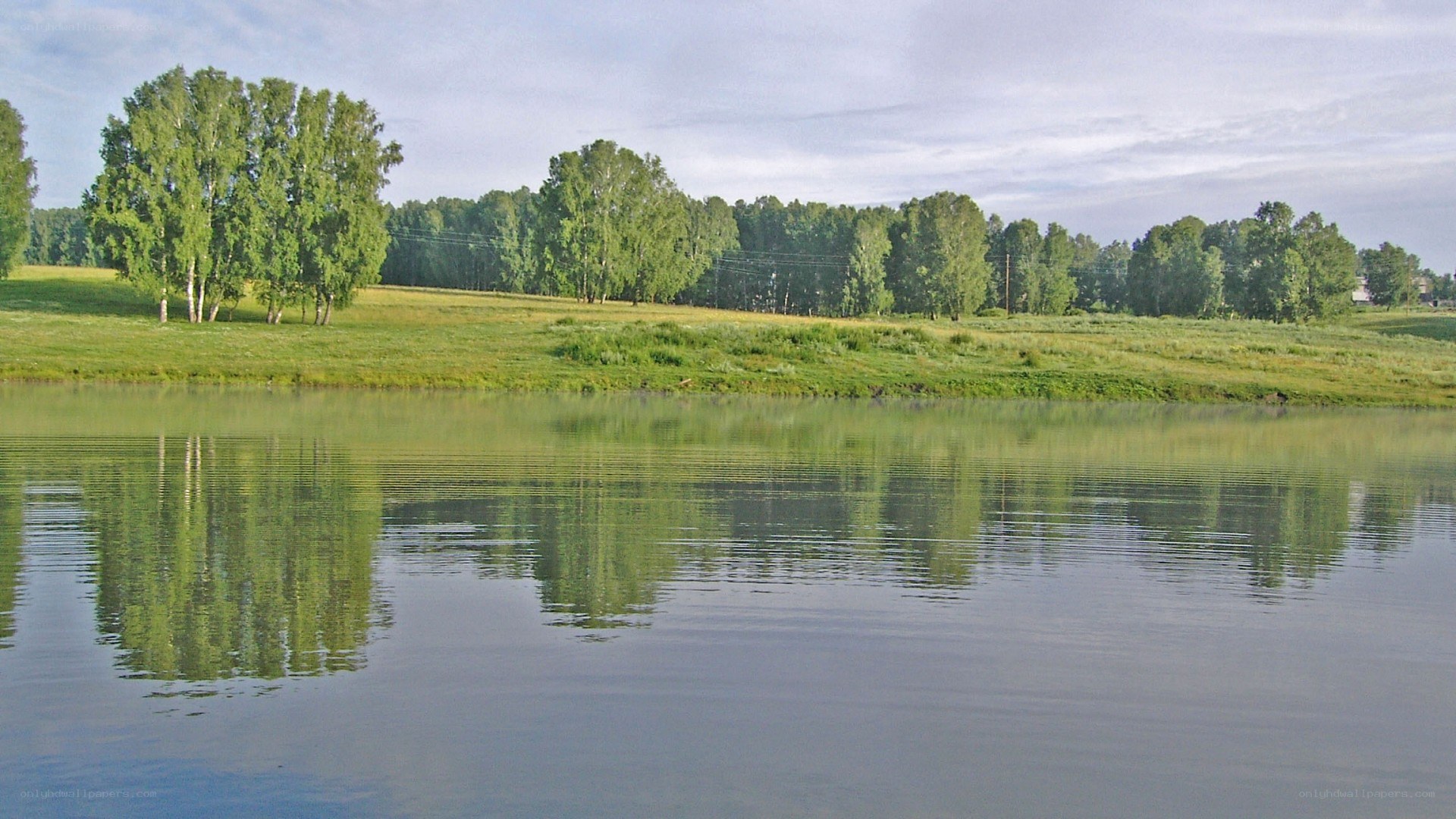 River with trees and reflection