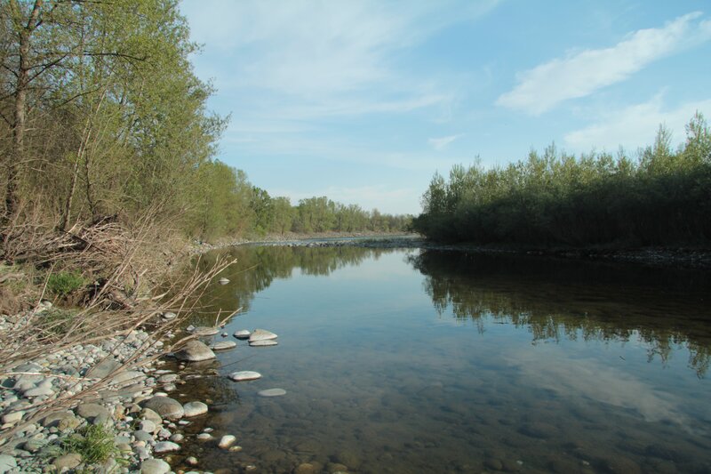 River with trees and rocks