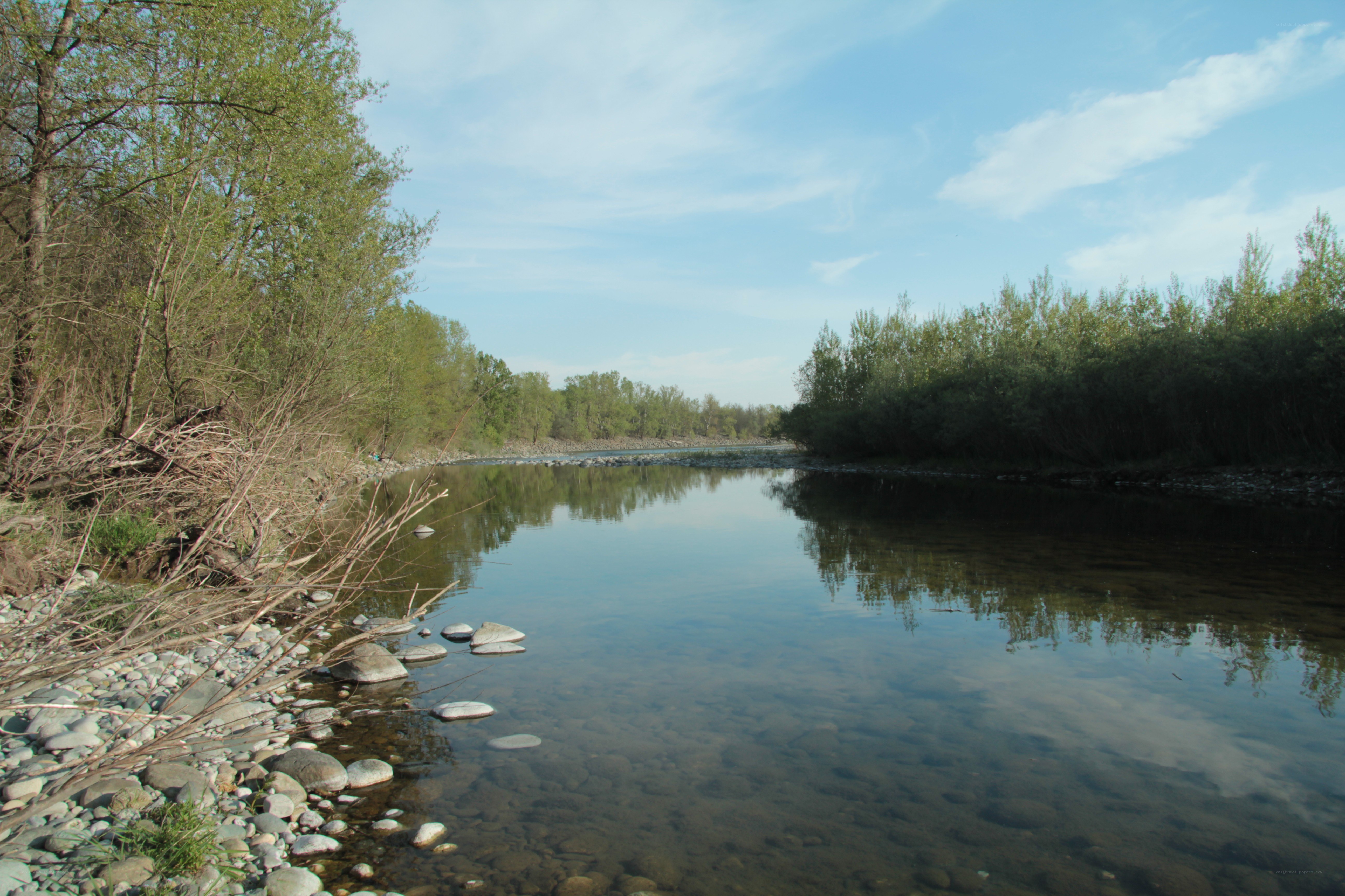 River with trees and rocks